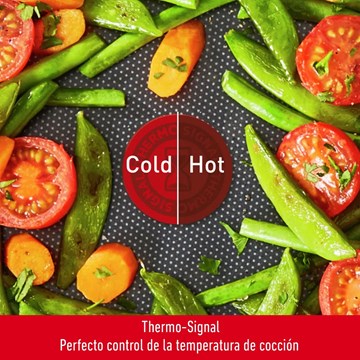 Imagen de WOK 28CM EASY COOK