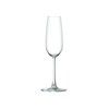 COPA CHAMPAGNE 210ML MADISON