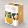 Jarra 1L CRYSTALLINE