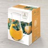 Jarra 1.5L CRYSTALLINE
