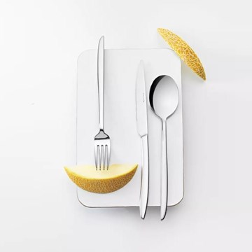 Caja 12 cucharas de té ORCA